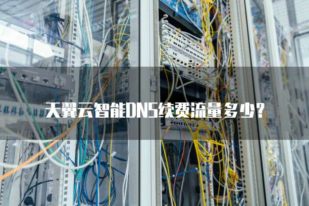 天翼云智能DNS续费流量多少?