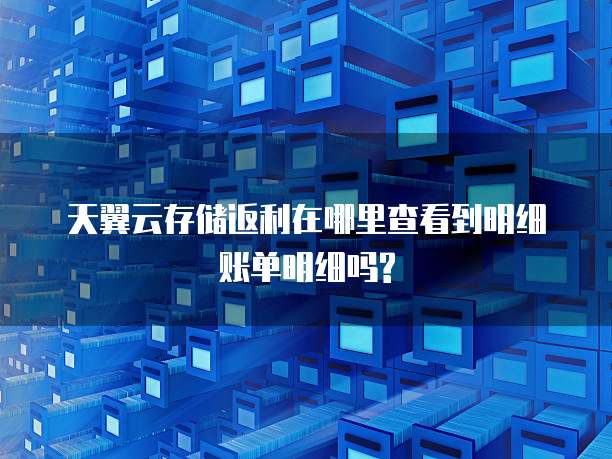 天翼云存储返利在哪里查看到明细账单明细吗?