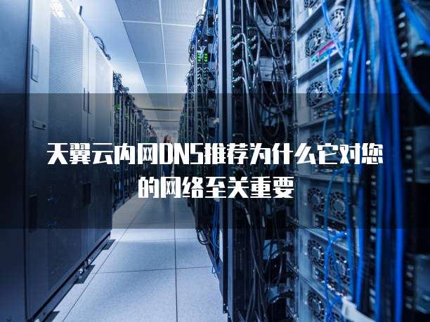 天翼云内网DNS推荐为什么它对您的网络至关重要