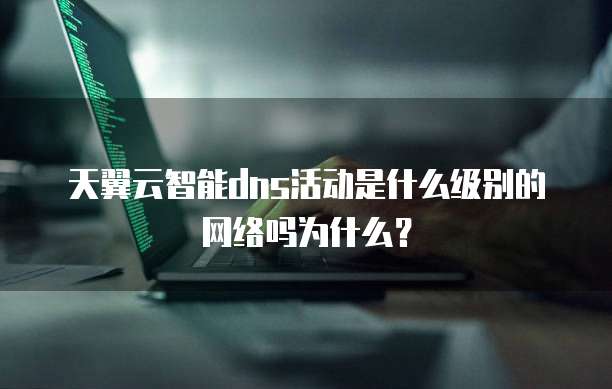 天翼云智能dns活动是什么级别的网络吗为什么?