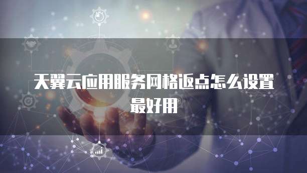 天翼云应用服务网格返点怎么设置最好用