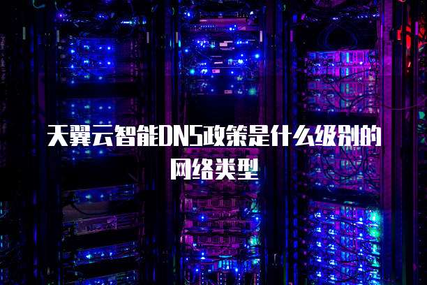 天翼云智能DNS政策是什么级别的网络类型