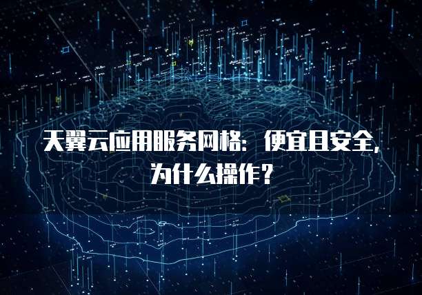 天翼云应用服务网格:便宜且安全,为什么操作?