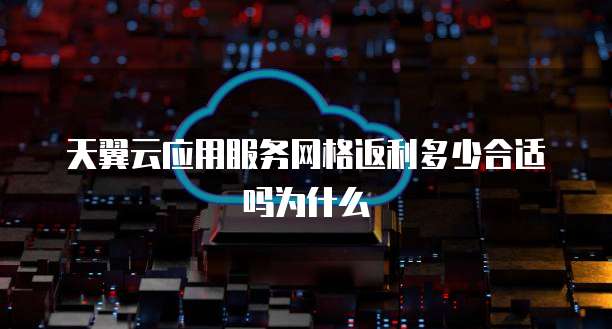 天翼云应用服务网格返利多少合适吗为什么
