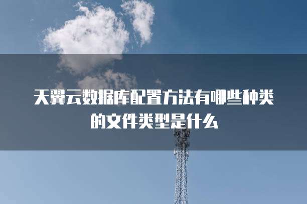天翼云数据库配置方法有哪些种类的文件类型是什么