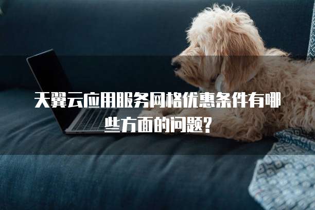 天翼云应用服务网格优惠条件有哪些方面的问题?
