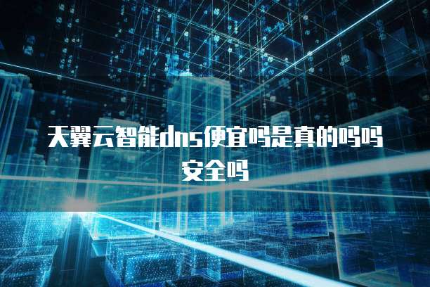 天翼云智能dns便宜吗是真的吗吗安全吗