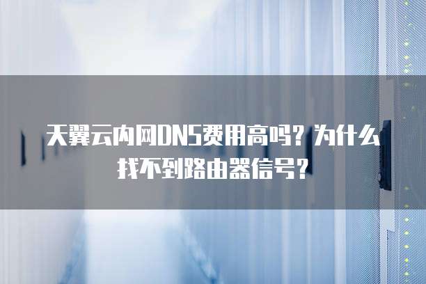 天翼云内网DNS费用高吗？为什么找不到路由器信号？