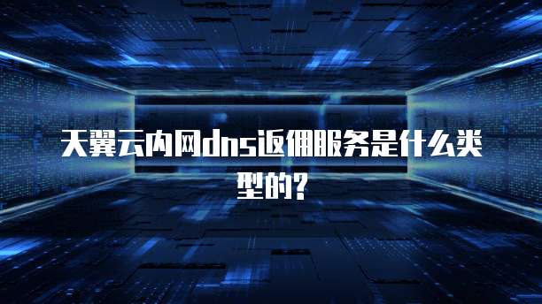 天翼云内网dns返佣服务是什么类型的?