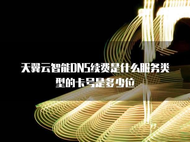 天翼云智能DNS续费是什么服务类型的卡号是多少位