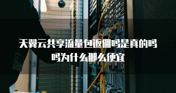 天翼云共享流量包返佣吗是真的吗吗为什么那么便宜