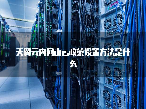 天翼云内网dns政策设置方法是什么
