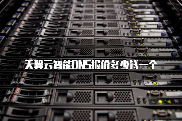 天翼云智能DNS报价多少钱一个