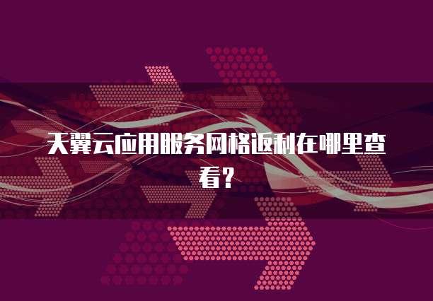 天翼云应用服务网格返利在哪里查看?