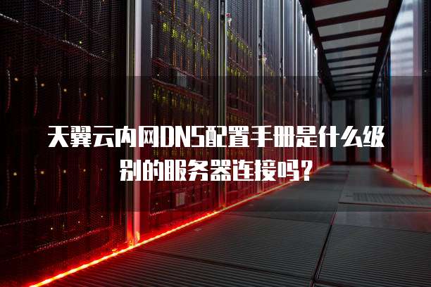 天翼云内网DNS配置手册是什么级别的服务器连接吗?