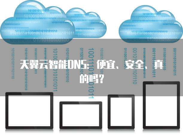 天翼云智能DNS:便宜、安全、真的吗?