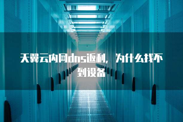 天翼云内网dns返利,为什么找不到设备