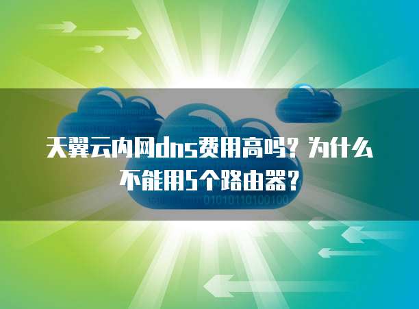 天翼云内网dns费用高吗?为什么不能用5个路由器?