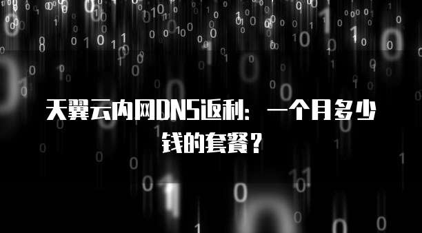 天翼云内网DNS返利:一个月多少钱的套餐?