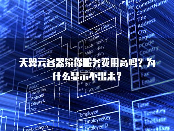 天翼云容器镜像服务费用高吗?为什么显示不出来?