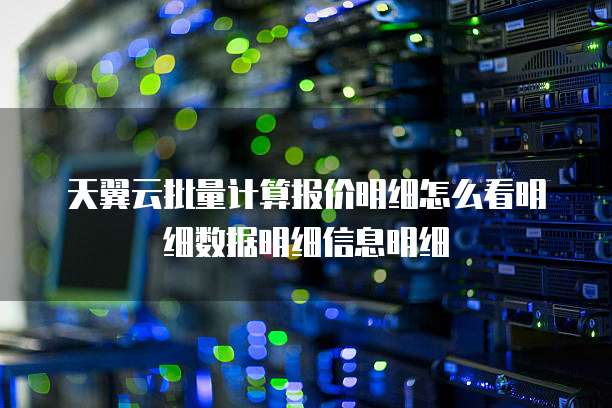 天翼云批量计算报价明细怎么看明细数据明细信息明细