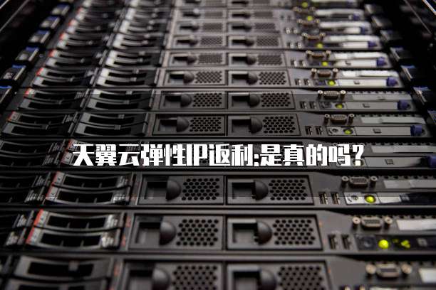 天翼云弹性IP返利:是真的吗?