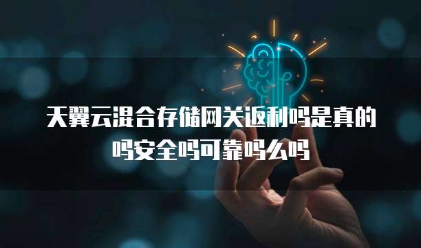 天翼云混合存储网关返利吗是真的吗安全吗可靠吗么吗