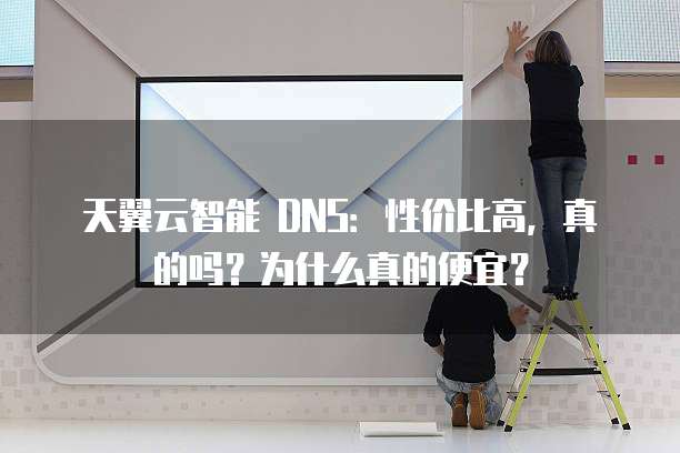 天翼云智能 DNS：性价比高，真的吗？为什么真的便宜？