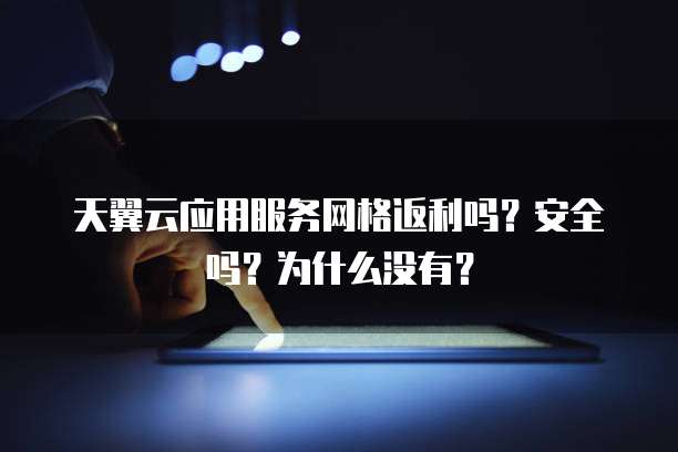 天翼云应用服务网格返利吗?安全吗?为什么没有?