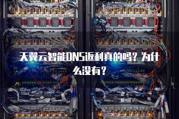 天翼云智能DNS返利真的吗？为什么没有？
