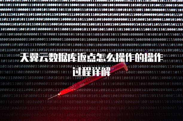 天翼云数据库返点怎么操作的操作过程详解