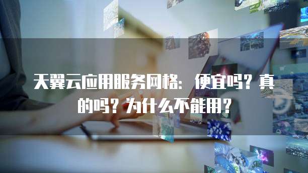 天翼云应用服务网格：便宜吗？真的吗？为什么不能用？