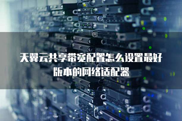 天翼云共享带宽配置怎么设置最好版本的网络适配器