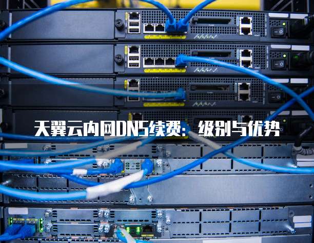 天翼云内网DNS续费:级别与优势