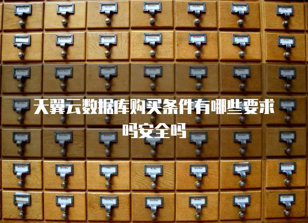天翼云数据库购买条件有哪些要求吗安全吗