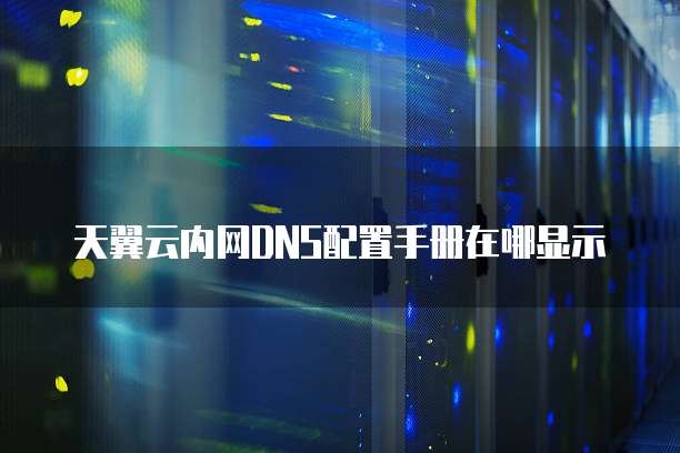 天翼云内网DNS配置手册在哪显示