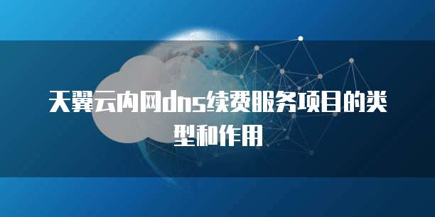 天翼云内网dns续费服务项目的类型和作用