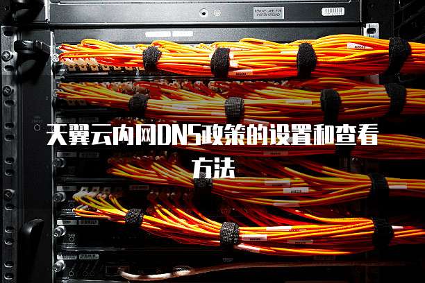 天翼云内网DNS政策的设置和查看方法