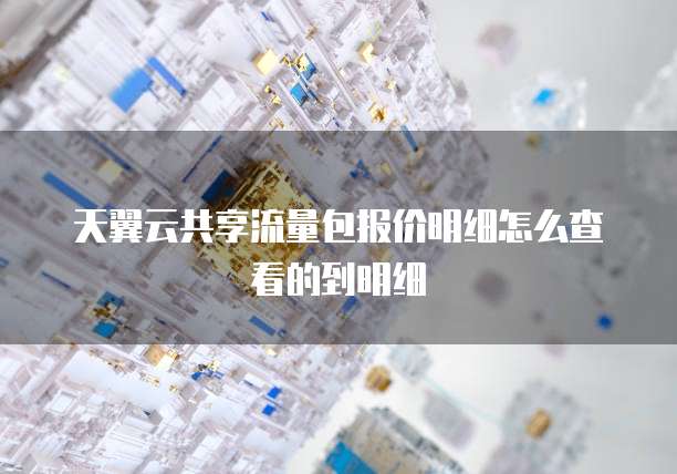 天翼云共享流量包报价明细怎么查看的到明细