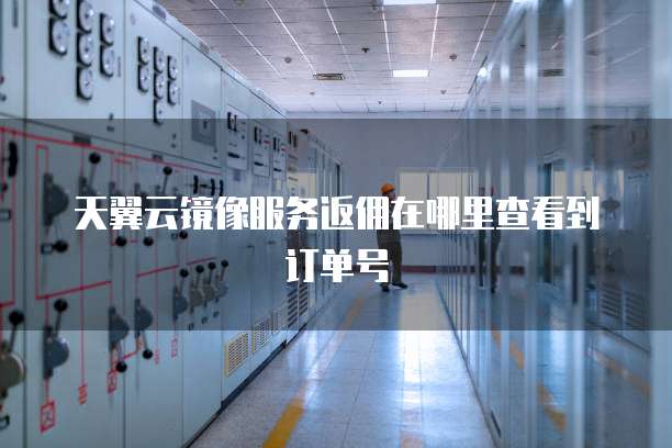 天翼云镜像服务返佣在哪里查看到订单号