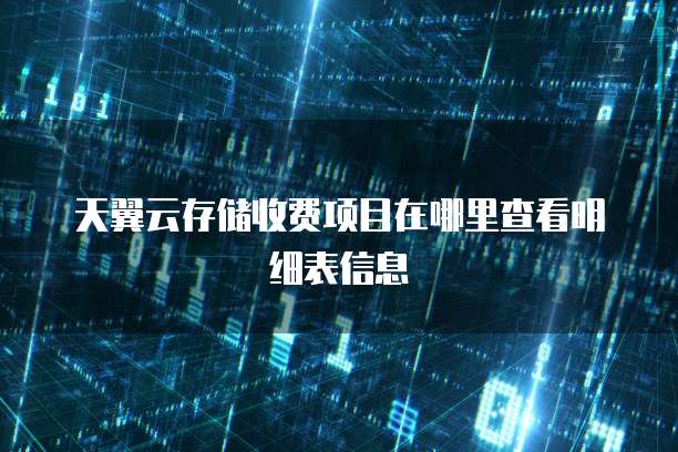 天翼云存储收费项目在哪里查看明细表信息