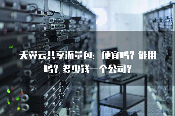 天翼云共享流量包:便宜吗?能用吗?多少钱一个公司?