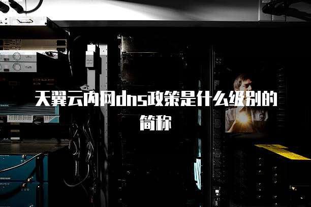 天翼云内网dns政策是什么级别的简称
