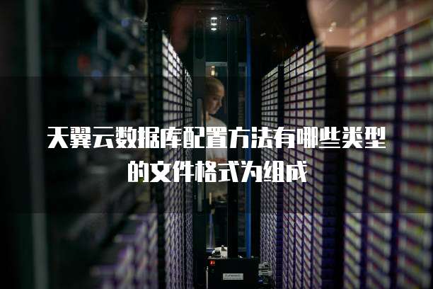 天翼云数据库配置方法有哪些类型的文件格式为组成