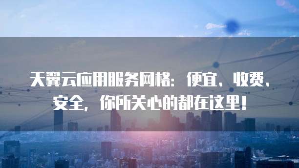 天翼云应用服务网格:便宜、收费、安全,你所关心的都在这里!
