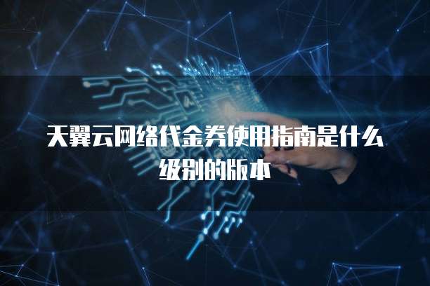 天翼云网络代金券使用指南是什么级别的版本