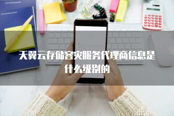 天翼云存储容灾服务代理商信息是什么级别的