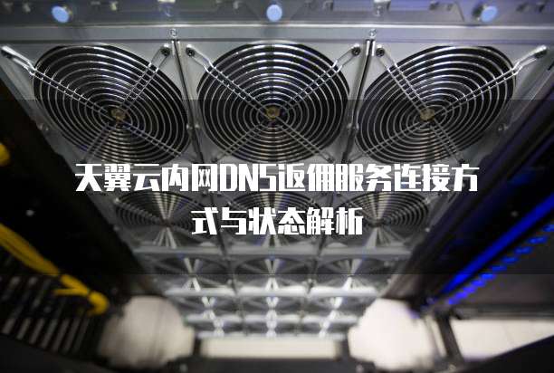 天翼云内网DNS返佣服务连接方式与状态解析