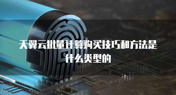 天翼云批量计算购买技巧和方法是什么类型的
