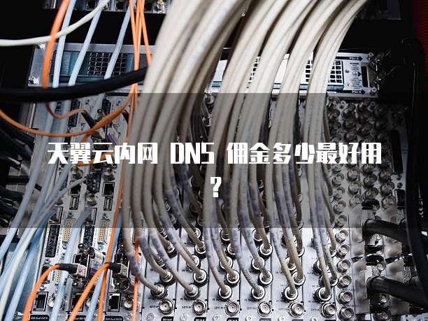 天翼云内网 DNS 佣金多少最好用？